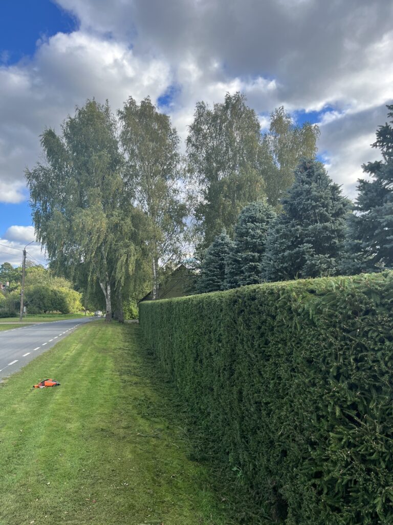 hekk pygatud hekk pygatud