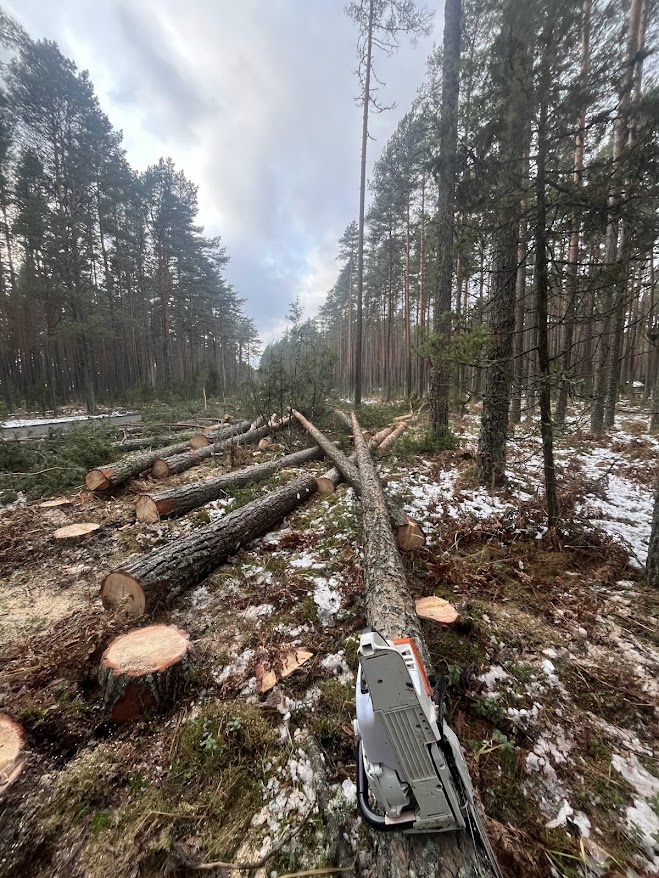 why-choose-us Kauksi