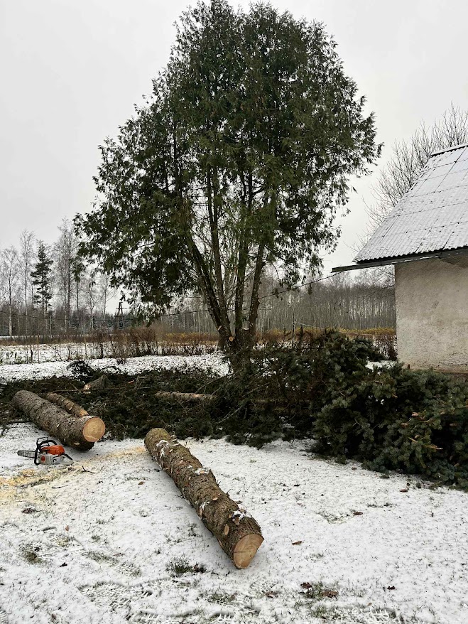 about-01 Lahte Kuusk