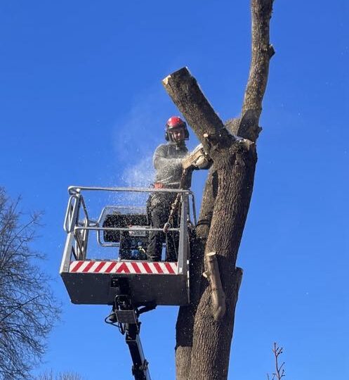 tõstuki otsas saagimas