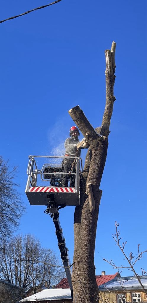 tõstuki otsas saagimas tõstuki otsas saagimas